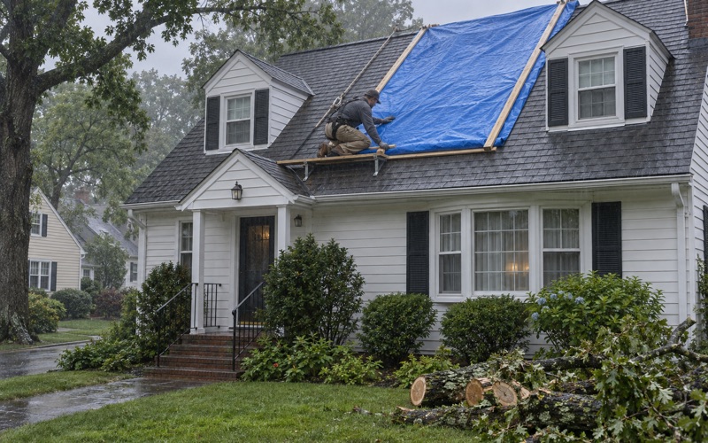 A tarp wrapped round wooden battens over the ridge of a Parsippany cape in wet weather after a limb came down.